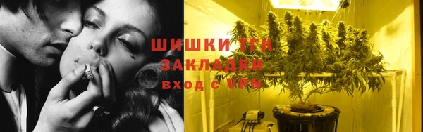 мдпв Инта