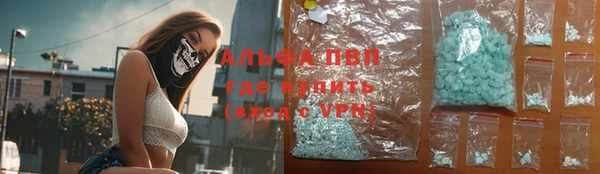 мдпв Инта
