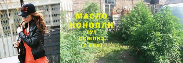 2c-b Инсар