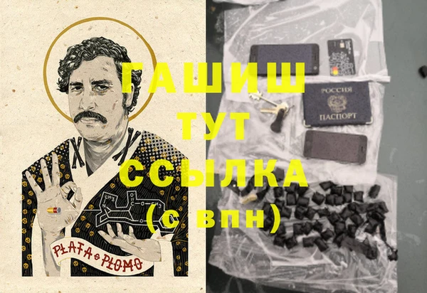 2c-b Инсар