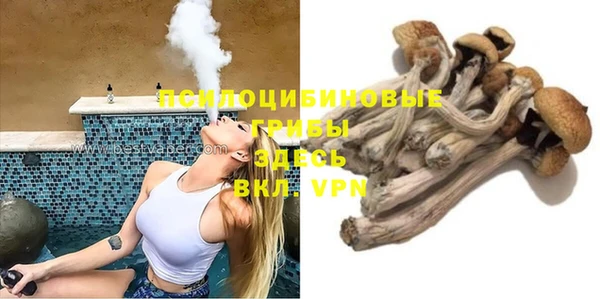 2c-b Инсар