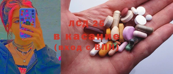 2c-b Инсар