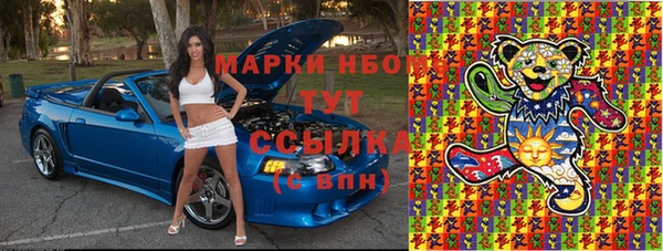 2c-b Инсар