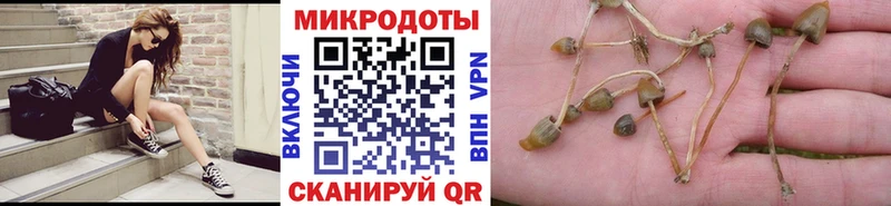 Купить Поронайск Галлюциногенные грибы прущие грибы